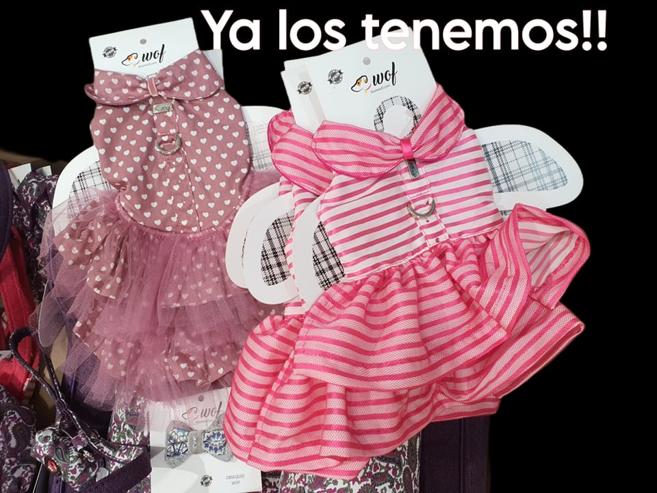 tienda6
